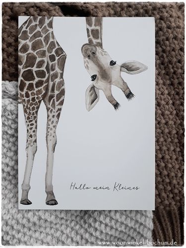Karte von Eulenschnitt / Motiv Giraffe "Hallo mein Kleines"