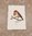 Frollein Lücke - wunderschöne Karte - Motiv Rotkehlchen * Piep